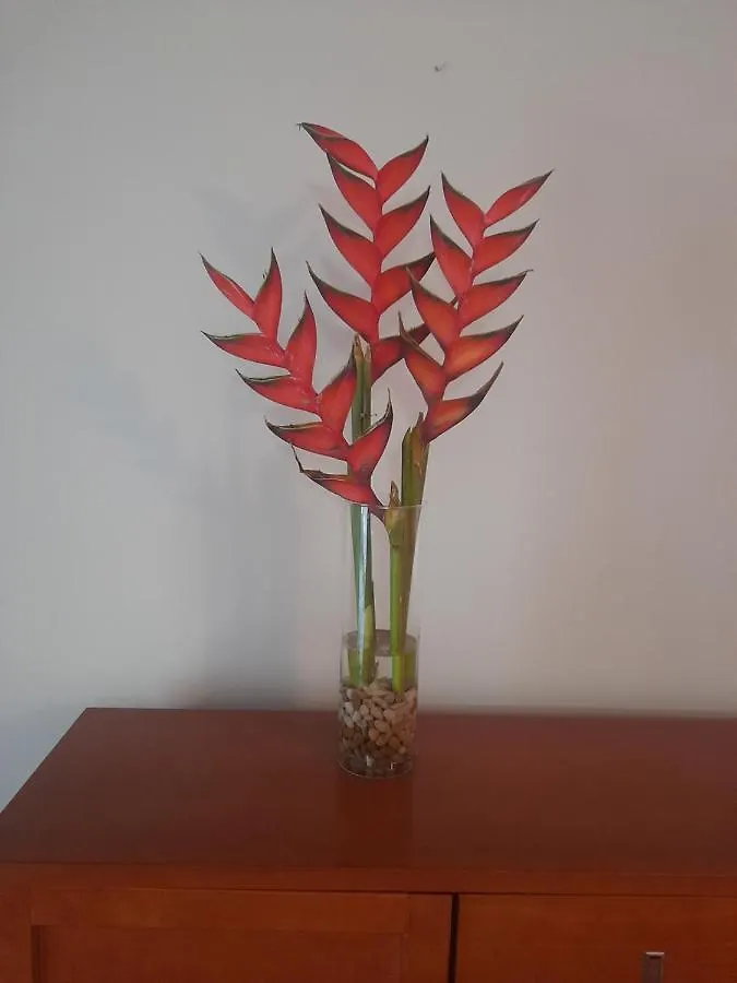 Recanto Da Madeira. Apartment Ribeira Brava